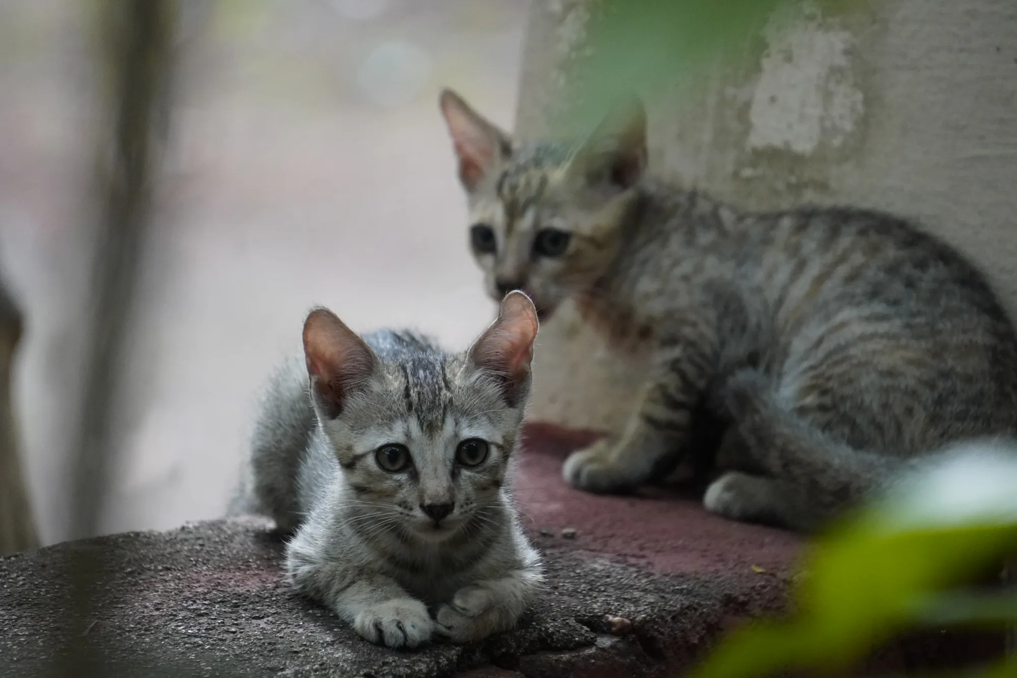 Standoff
